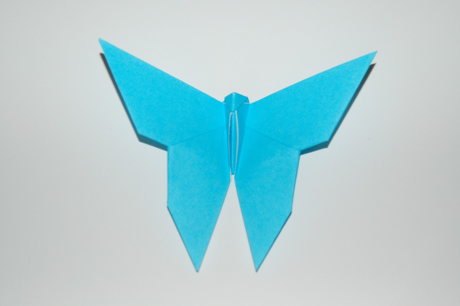 Origami Butterfly with white background